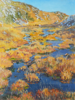 DAMARIS LYSAGHT - Bog - Castlemehigan - oil on canvas on board - 58 x 48 cm - €935