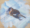 DAMARIS LYSAGHT - Roadkill - Female Stonechat - oil on panel - 14 x 14 cm - €325
