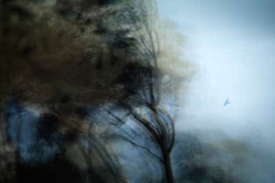 Geoff Greenham - West Wind - archival print 2 of 10 - 40 x 50 cm - €240