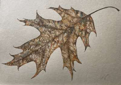 Claire Patricia Halliday -  Gilded Fall II - watercolour - 26 x 30 cm - €245