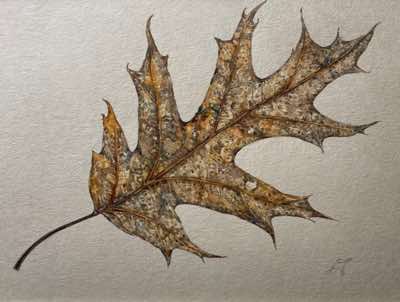 Claire Patricia Halliday -  Gilded Fall I - watercolour - 26 x 30 cm - €245