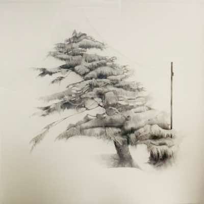 Johanna Connor - Tree-Volts - Clutch pencil on Waterford paper - Framed 85 x 85 cm - €1280
