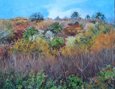 Damaris-Lysaght - Diverse Scrub - oil-on-canvas-on-panel - 41 x 51cm - €1085