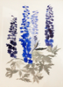 GRÁINNE CUFFE ~ Delphiniums I - etching - 146 x 102 cm - TWO SOLD