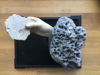 KETH PAYNE - Chinese Takeout - limestone, coral, fossil, resin - €600