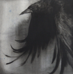 LAURA WADE - Wing - indian ink on cotton paper - 40 x 40 cm - €350