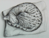 PATRICIA COOGAN O'DELL - Sleeping Friend - graphite - 33 x 33 cm - guide price €80