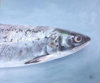 PETER WOLSTENHOLME ~ Speedy Trout II - oil on board - 25 x 30 cm - €550