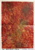 TOM WELD - Agent Orange - oil on paper - 116 x 83 cm - €450