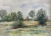 CLAIRE HALLIDAY - Fallen Willow - watercolour - 32 x 40 cm - €385