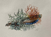 CLAIRE HALLIDAY - Lying on lichen - watercolour - 19 x 21 cm - €125 - SOLD
