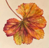 CLAIRE HALLIDAY - Autumn Fan - watercolour - 29 x 29 cm - €250 - SOLD