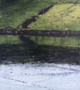 JANET MURRAN - Fukk tide across the Ilen - acrylic on panel - 40 x 36 cm - €895