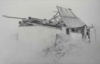 JOHANNA CONNOR - Natural Destruction - pencil - 25 x 34 cm - €290