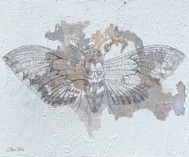 ZAM ROD - Acherontia Atropos - mixed media on board - 50 x 60 cm - €750