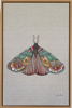 ZAM ROD - Moth 9 - waterolour on linen - 60 x 40 cm - €550 - SOLD