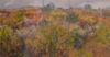 DAMARIS LYSAGHT - Above Nigel's - oil on panel - triptych - 35 x 25/ 35 x 15/ 35 x 25 cm - €1185 - SOLD