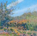 DAMARIS LYSAGHT - Autumn, Coolcaha 2 - oil on plywod - 15 x 15 cm - €285