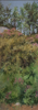 DAMARIS LYSAGHT - Garden, North Side, September - oil on panel - 40 x 15 cm - €625