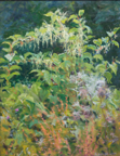 DAMARIS LYSAGHT - Invasive Alien Species - Japanese Knotweed - oil on panel - 25 x 20 cm - €535