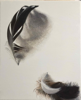 DIANE KINGSTON - Feather - oil on paper - €425