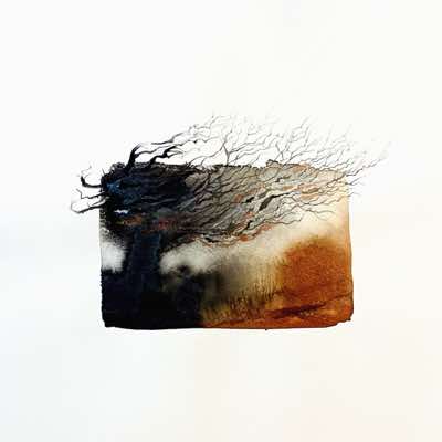 Eilbhe Donovan - Windswept - ink & pencil on paper - 42 x 42 cm - €850