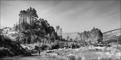 Geoff Greeham - Glengariff - archival print 1/10 - 49 x 92cm - €500