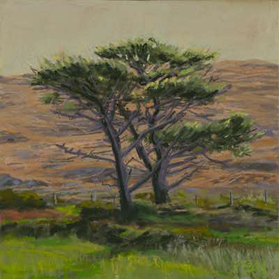 Patricia Bevan - With their Backs to the Wind, Peninsula Trees - pastel on board - 20 x 20 cm - €330