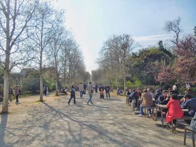 Richard Winfield - Afternoon at Jardin des Plantes - archival print - 50x40cm - €220