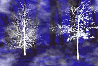 Richard Winfield - Between Silence & Light - archival print - 50x40cm - €220