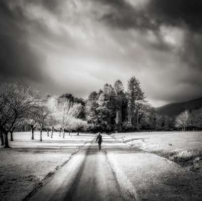 Geoff Greenham - Woman in a Landscape - archival print 1/10  - 53 x 53 cm - €300