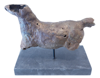 FIONA COFFEY - Equus II - Bronze - €390