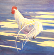 FIONA POWER - Ybor City Cockerel - oil on canvas - 68 x 68 cm - €880