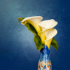 GEOFF GREENHAM - Cala Lilies - photograph - 54 x 44 cm - €195