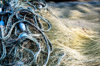 GEOFF GREENHAM - Monofilament - giclee print 25 x 38 cm - €200