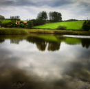 GEOFF GREENHAM - Reedbed at Rosscarbery - photograph - 25 x 25 cm - 1/10 - €180