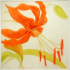 GRÁINNE CUFFE ~ Lilium Henryl - etching - 46 x 38 cm - €220