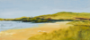 HELEN O'KEEFFE - Ballyrisolde - oil on canvas - 25 x 56 cm - €400 - SOLD