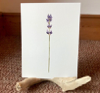 JAMIE ASHFORTH - Ingesting Home - Lavender - watercolour - €80