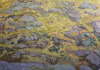 JULIA MITCHELL - Pathways - oil on canvas - 70 x 100 cm -€700 -SOLD