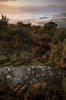 KEN WILLIAMS - Rathgeran - photograph - various sizes and prices from €60