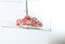 MOLLIE DOUTHIT - So you will have Food -  watercolour on paper - 10 x 15 cm - €250